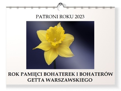 Zdjęcie wprowadzające - Patroni Roku 2023, zdjęcie żonkila na niebieskim tle, napis Rok Pamięci Bohaterek i Bohaterów Getta Warszawskiego